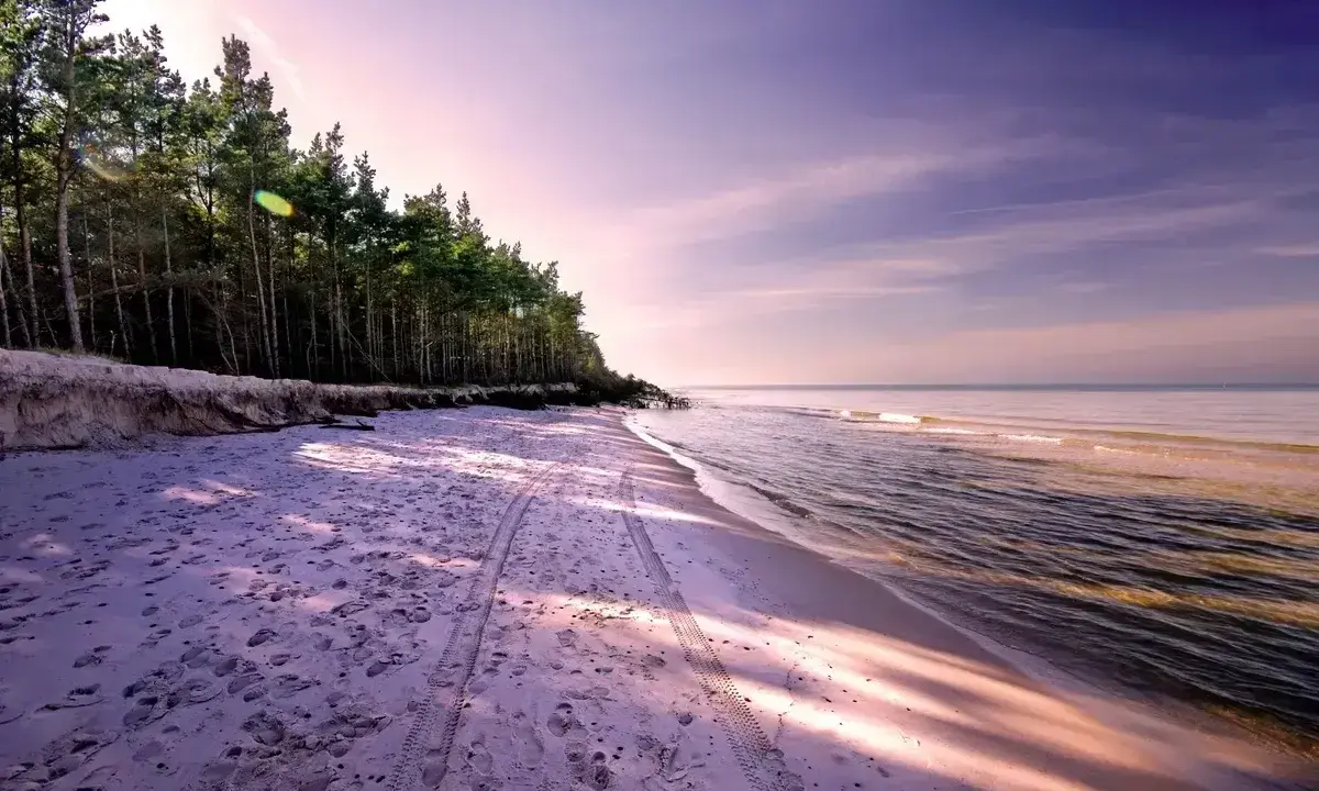 Piękna plaża z lasem sosnowym, ślady opon na piasku. Rumia ile do morza? Niedaleko, czuć zapach bryzy.