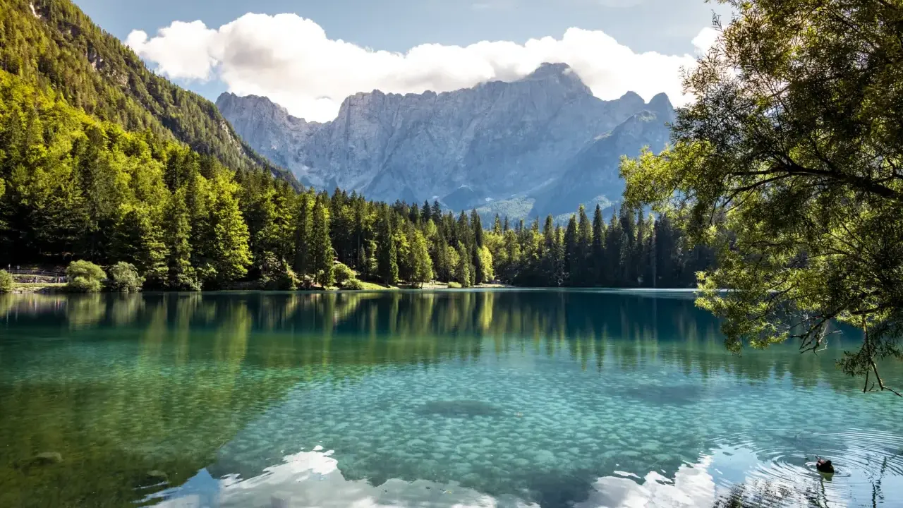Krystalicznie czyste jezioro w regionie Friuli-Wenecja Julijska, otoczone lasem i majestatycznymi górami.