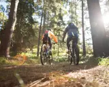 Dwóch rowerzystów przemierza leśną trasę w okolicach Leżajska. Słońce przebija się przez drzewa, tworząc magiczną atmosferę.