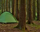 Zielony namiot i rowery w lesie. Proste wskazówki, jak rozłożyć namiot, by cieszyć się naturą.