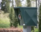 Zielony fotoradar, który może przynieść mandat z fotoradaru bez punktów karnych.