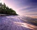 Piękna plaża z lasem sosnowym, ślady opon na piasku. Rumia ile do morza? Niedaleko, czuć zapach bryzy.