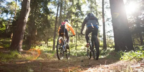 Dwóch rowerzystów przemierza leśną trasę w okolicach Leżajska. Słońce przebija się przez drzewa, tworząc magiczną atmosferę.