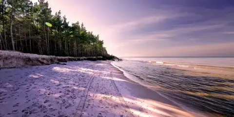 Piękna plaża z lasem sosnowym, ślady opon na piasku. Rumia ile do morza? Niedaleko, czuć zapach bryzy.