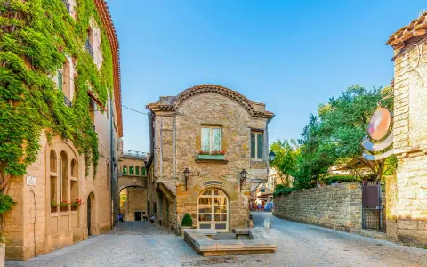 Kamienne uliczki w Carcassonne, Francja, z budynkami porośniętymi bluszczem i łukowym przejściem.