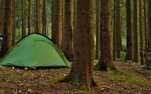 Zielony namiot i rowery w lesie. Proste wskazówki, jak rozłożyć namiot, by cieszyć się naturą.