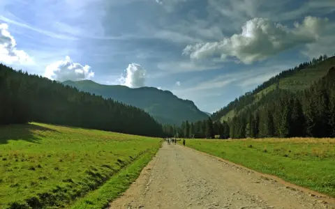 Droga przez zieloną dolinę, idealna na trasę Kielce-Zakopane. Grupa turystów idzie w stronę gór.