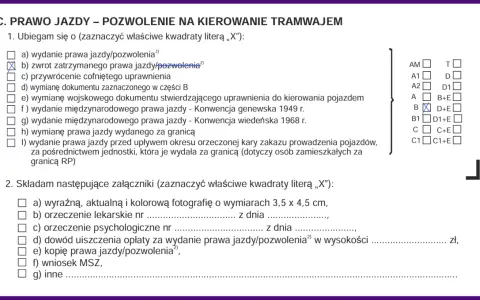 Formularz dotyczy prawa jazdy. Zaznaczono zwrot zatrzymanego prawa jazdy, co może być związane z tym, na ile zabierają prawo jazdy za prędkość.