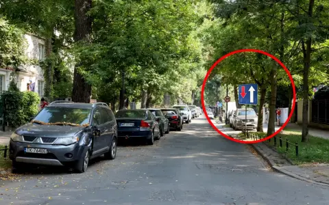 Na tej jednopasmowej drodze, wśród drzew, widać znak informujący o ruchu jednokierunkowym z możliwością wyprzedzania.