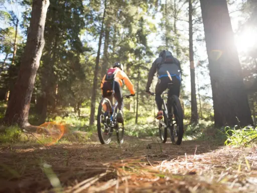 Dwóch rowerzystów przemierza leśną trasę w okolicach Leżajska. Słońce przebija się przez drzewa, tworząc magiczną atmosferę.