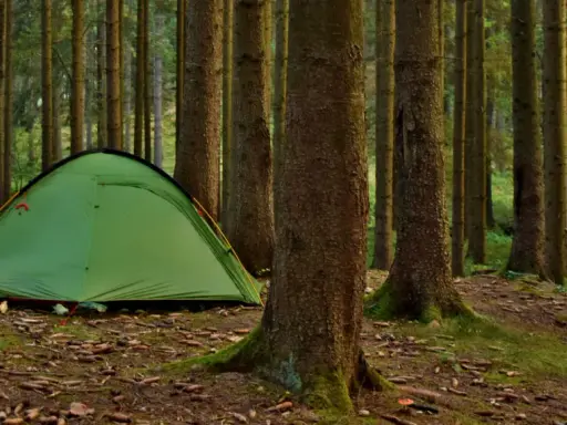 Zielony namiot i rowery w lesie. Proste wskazówki, jak rozłożyć namiot, by cieszyć się naturą.