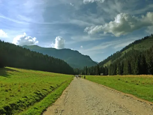 Droga przez zieloną dolinę, idealna na trasę Kielce-Zakopane. Grupa turystów idzie w stronę gór.