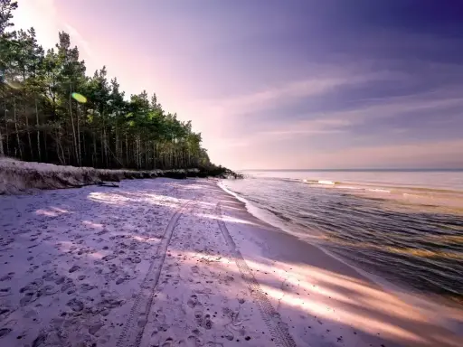 Piękna plaża z lasem sosnowym, ślady opon na piasku. Rumia ile do morza? Niedaleko, czuć zapach bryzy.
