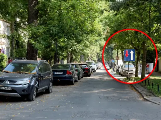 Na tej jednopasmowej drodze, wśród drzew, widać znak informujący o ruchu jednokierunkowym z możliwością wyprzedzania.