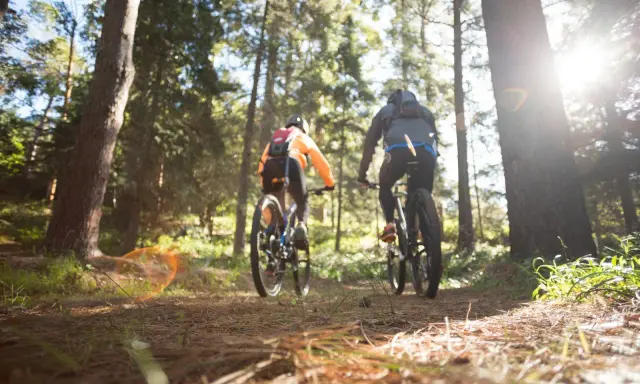 Dwóch rowerzystów przemierza leśną trasę w okolicach Leżajska. Słońce przebija się przez drzewa, tworząc magiczną atmosferę.