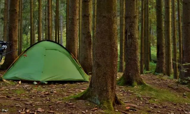Zielony namiot i rowery w lesie. Proste wskazówki, jak rozłożyć namiot, by cieszyć się naturą.