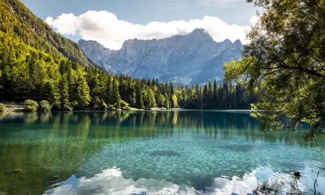 Krystalicznie czyste jezioro w regionie Friuli-Wenecja Julijska, otoczone lasem i majestatycznymi górami.