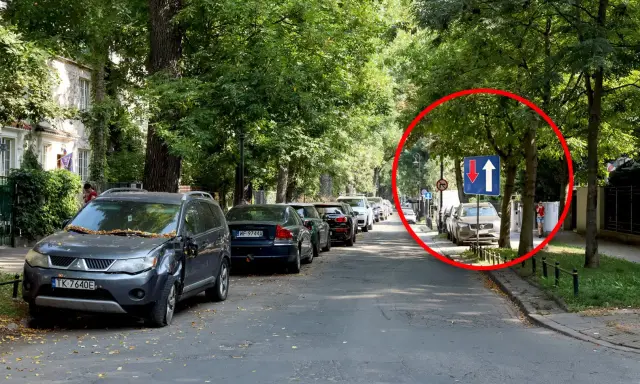 Na tej jednopasmowej drodze, wśród drzew, widać znak informujący o ruchu jednokierunkowym z możliwością wyprzedzania.
