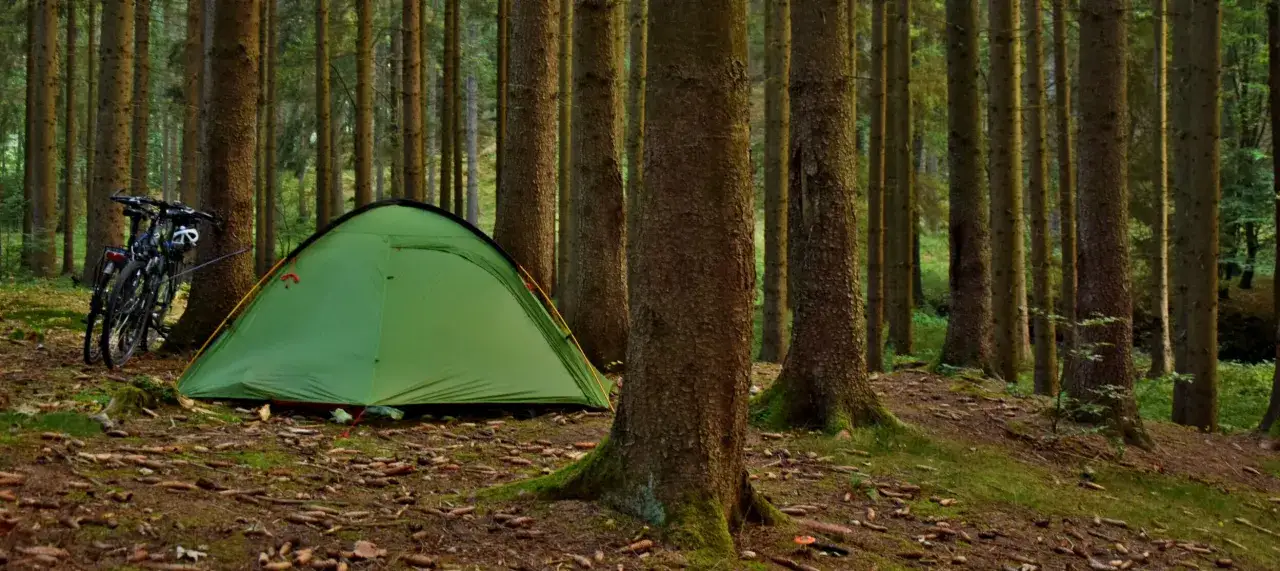 Zielony namiot i rowery w lesie, idealne miejsce na włochy spanie na dziko.