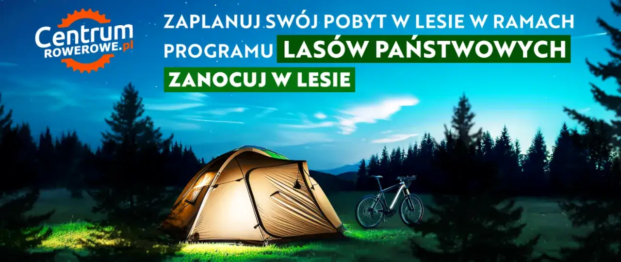 Nocleg w lesie: rozstawiony namiot i rower w malowniczej scenerii. Planuj sw&oacute;j pobyt w lesie w ramach programu Las&oacute;w Państwowych.