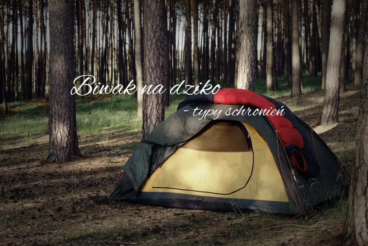 Namiot rozłożony na dziko w lesie, gotowy na biwak. Czerwony śpiw&oacute;r czeka w środku.