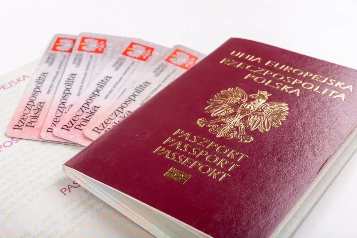 Polski paszport i kilka dowodów osobistych. Planujesz podróż na Maderę? Czy na Maderę trzeba paszport? Sprawdź wymagania!